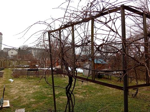 дом по адресу Лесі Українки