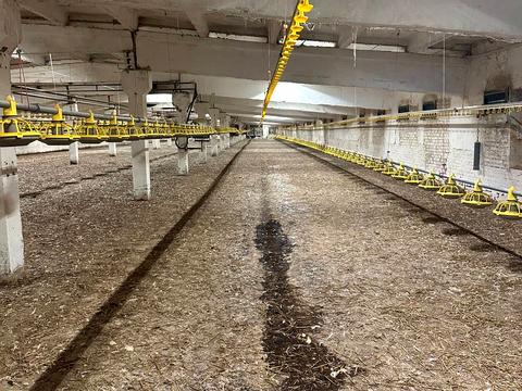 коммерческая по адресу Сільська, 3