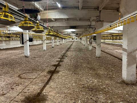 коммерческая по адресу Сільська, 3