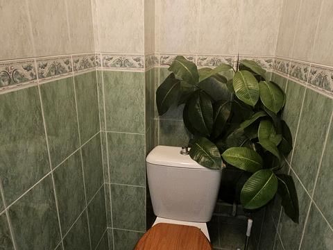 квартира за адресою Милославська вул., 17