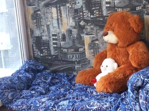 квартира по адресу Люстдорфская дорога ул., 7 секция