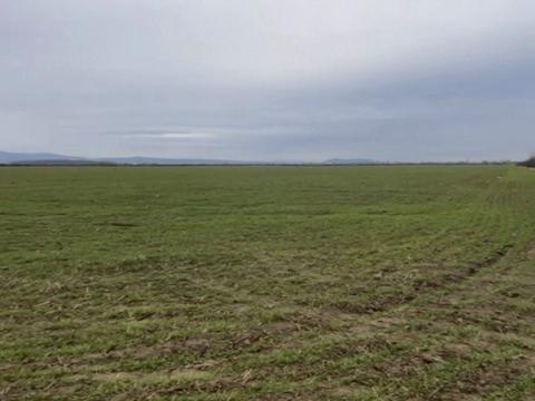 ділянка за адресою садова