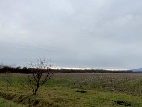 ділянка за адресою садова