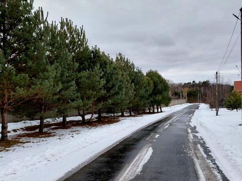 дом по адресу Чорновола, 2Б