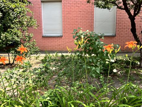 коммерческая по адресу Семьи Стешенков ул. (Строкача Тимофея), 3