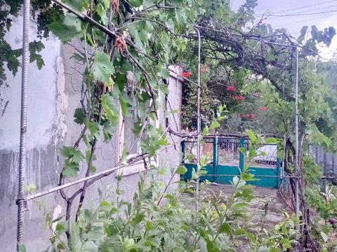 дом по адресу Аврора, 10