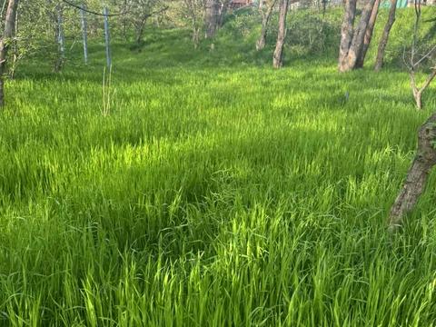 дом по адресу Аврора, 10