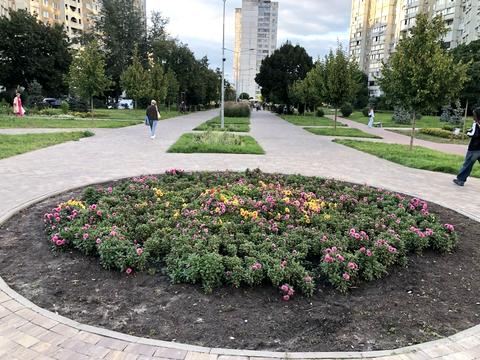 квартира за адресою Червоної Калини просп. (Володимира Маяковського), 17-А