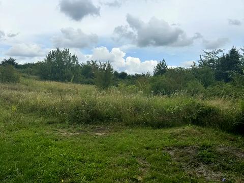 ділянка за адресою Центральна