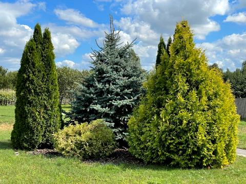 будинок за адресою квіткова