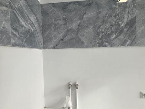 квартира по адресу Волчинецкая ул., 223-А