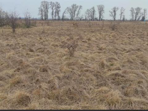 ділянка за адресою Воєдила