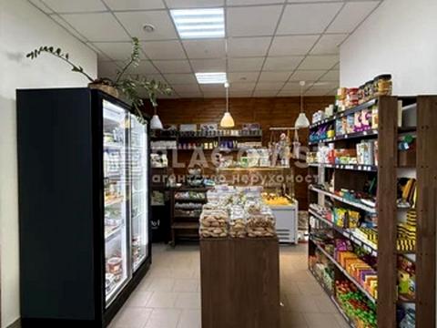 комерційна за адресою Київ, Єлизавети Чавдар вул., 24