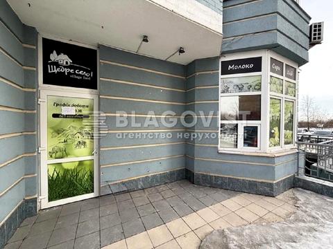 комерційна за адресою Київ, Єлизавети Чавдар вул., 24