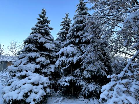 будинок за адресою Лесі Українки вул.