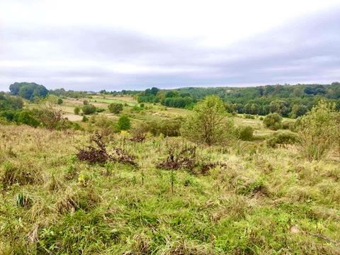 ділянка за адресою с. Гамаліївка, 