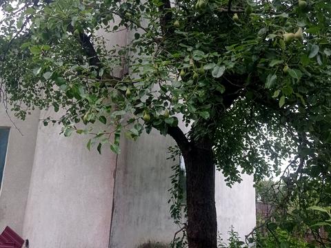 будинок за адресою Тарнівецька вул.