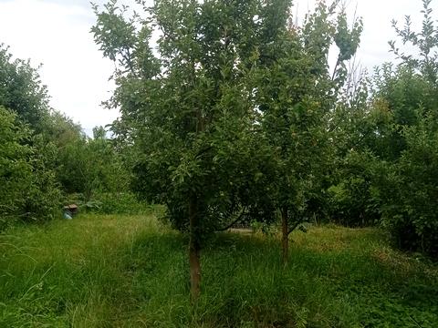 будинок за адресою Тарнівецька вул.