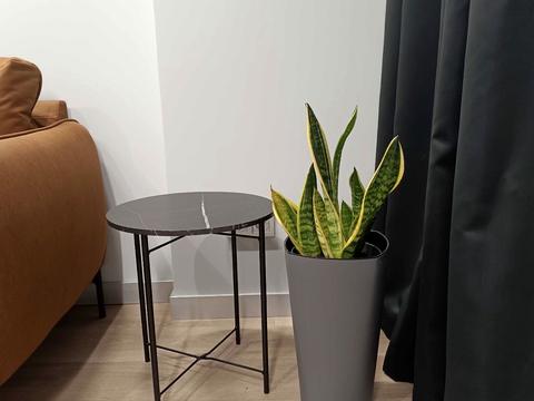 квартира за адресою Загорівська вул. (Багговутівська), 25