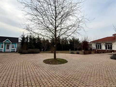 дом по адресу Береговая ул.