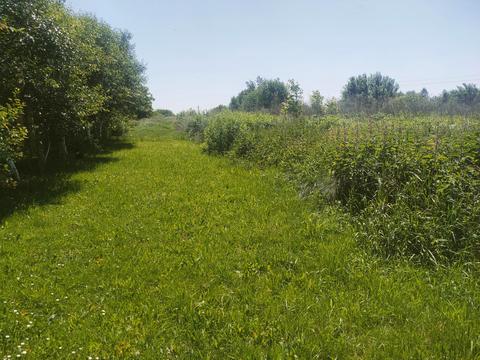 ділянка за адресою Червоної Калини вул.