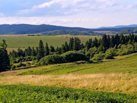 участок по адресу Леси Украинки ул.