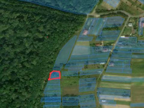 ділянка за адресою Лісова