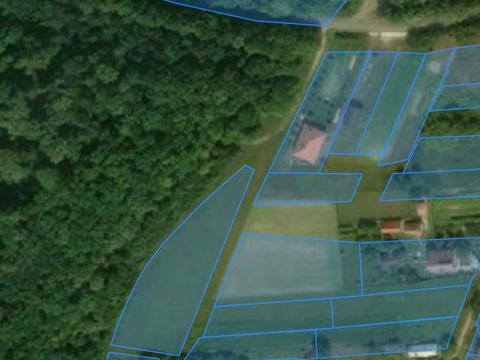 ділянка за адресою Лісова