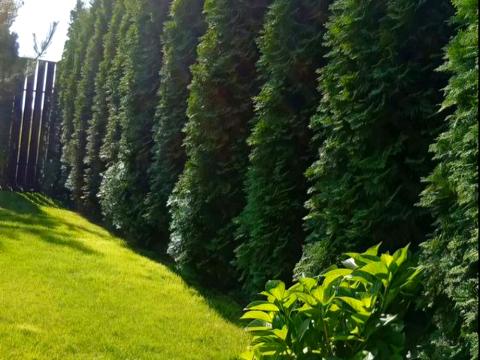 будинок за адресою с. Вишеньки, Ялтинська вул.