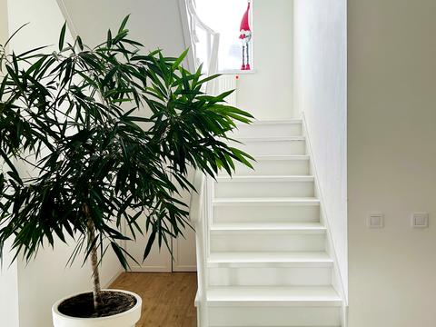 будинок за адресою с. Вишеньки, Ялтинська вул.