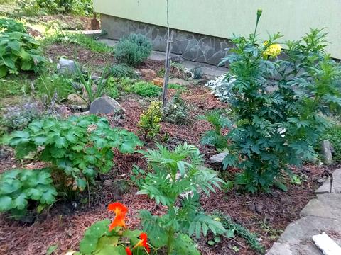 дом по адресу Дачна