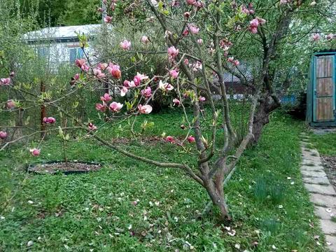 дом по адресу Дачна