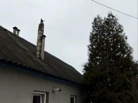 дом по адресу Чигиринская ул.