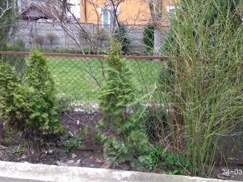 будинок за адресою Київ, Садова