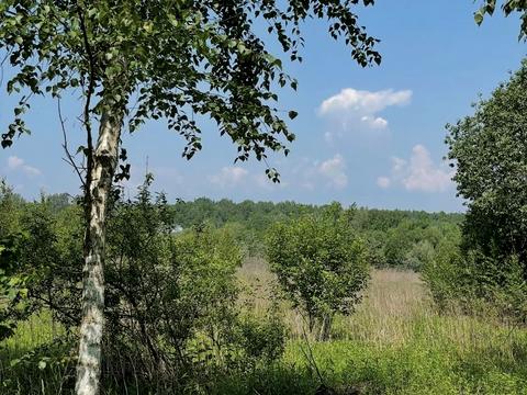участок по адресу Петра Сагайдачного ул.