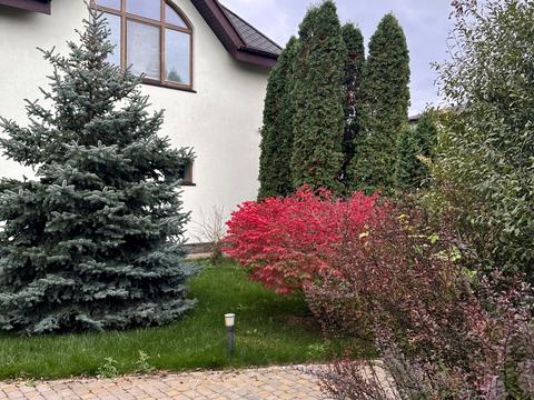 будинок за адресою Лесі Українки