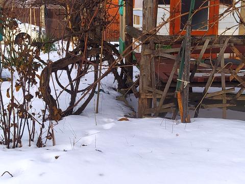 дом по адресу Хмельницкий, Квіткова ул., 3