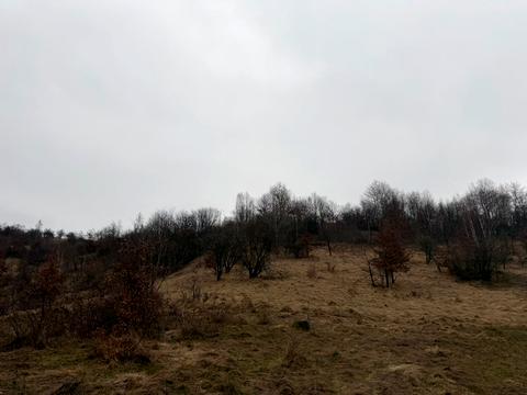 ділянка за адресою Центральна