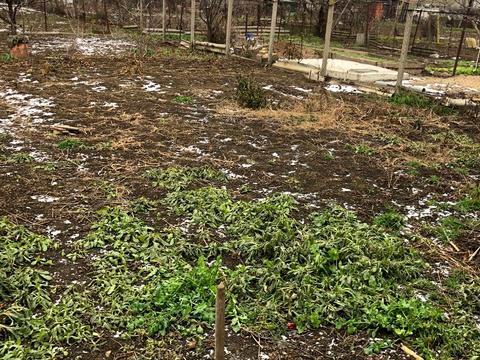 будинок за адресою с. Нова Дофінівка, Молодіжна