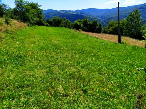 ділянка за адресою Камянка