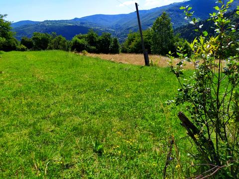 ділянка за адресою Камянка