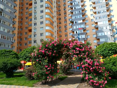 квартира за адресою Юрія Кондратюка вул., 3