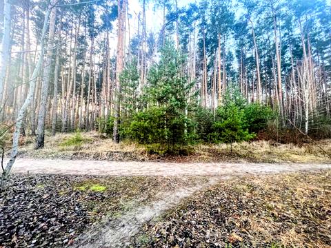 ділянка за адресою Незалежності