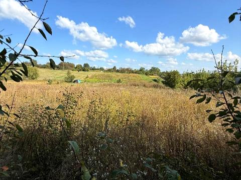 дом по адресу Радісна