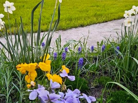 будинок за адресою Київ, Дубичнянська, 26