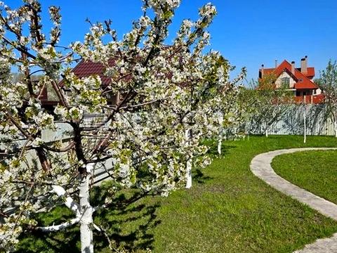 будинок за адресою Київ, Дубичнянська, 26