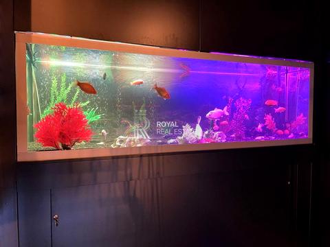 комерційна за адресою Садова вул., 26