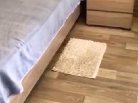 квартира по адресу Инглези ул. (25-ї Чапаєвської Дивізії), 3/1