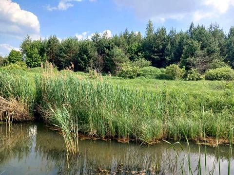 ділянка за адресою Долина джерел