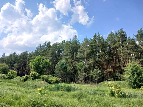 участок по адресу Долина джерел